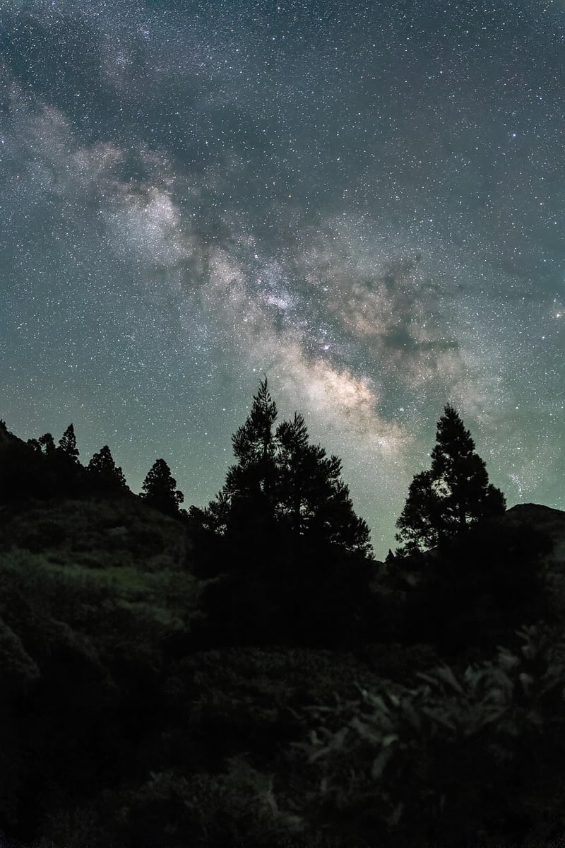 Moonbeam Aesthetics